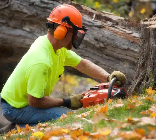 tree services Carrboro